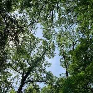 Meet your Posher, Marie